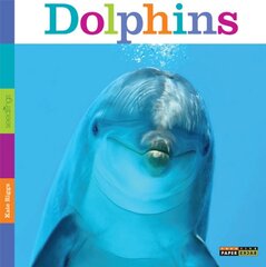 Amazing Animals: Dolphins
