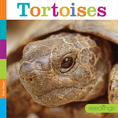 Amazing Animals: Tortoises