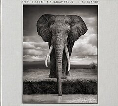 Nick Brandt: On This Earth, a Shadow Falls